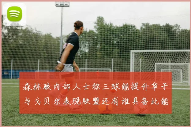 森林狼内部人士称三球能提升华子与戈贝尔表现联盟还有谁具备此能力
