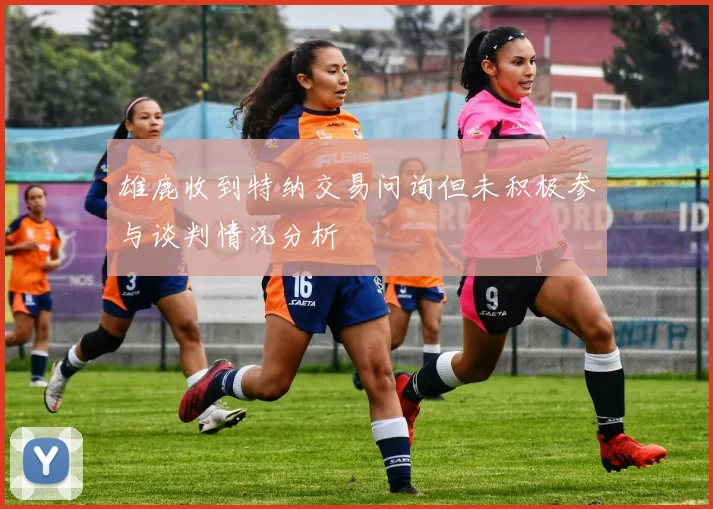 雄鹿收到特纳交易问询但未积极参与谈判情况分析
